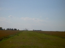 Real size of images._264